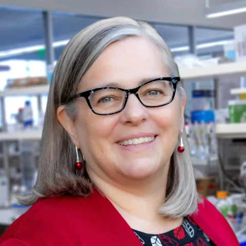 Portrait of Lynn Connolly